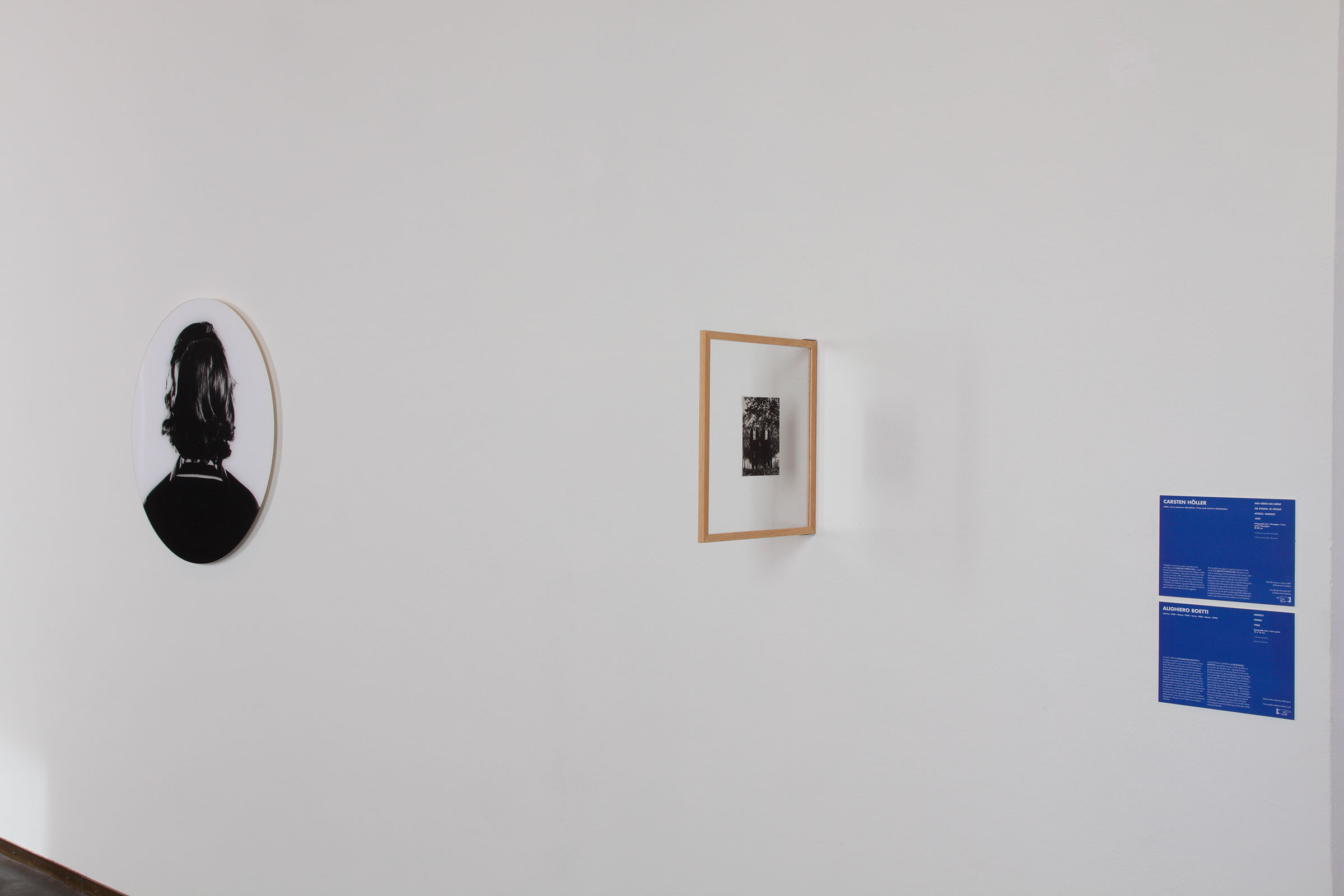 Carsten Hu00f6ller, Moi-Mu00eame-Soi-Mu00eame, 1997; Alighiero Boetti, Gemelli, 1968